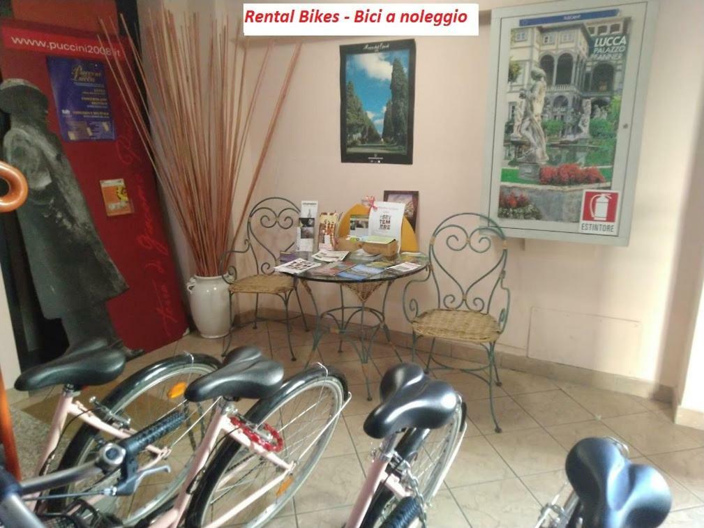 Ai Cipressi